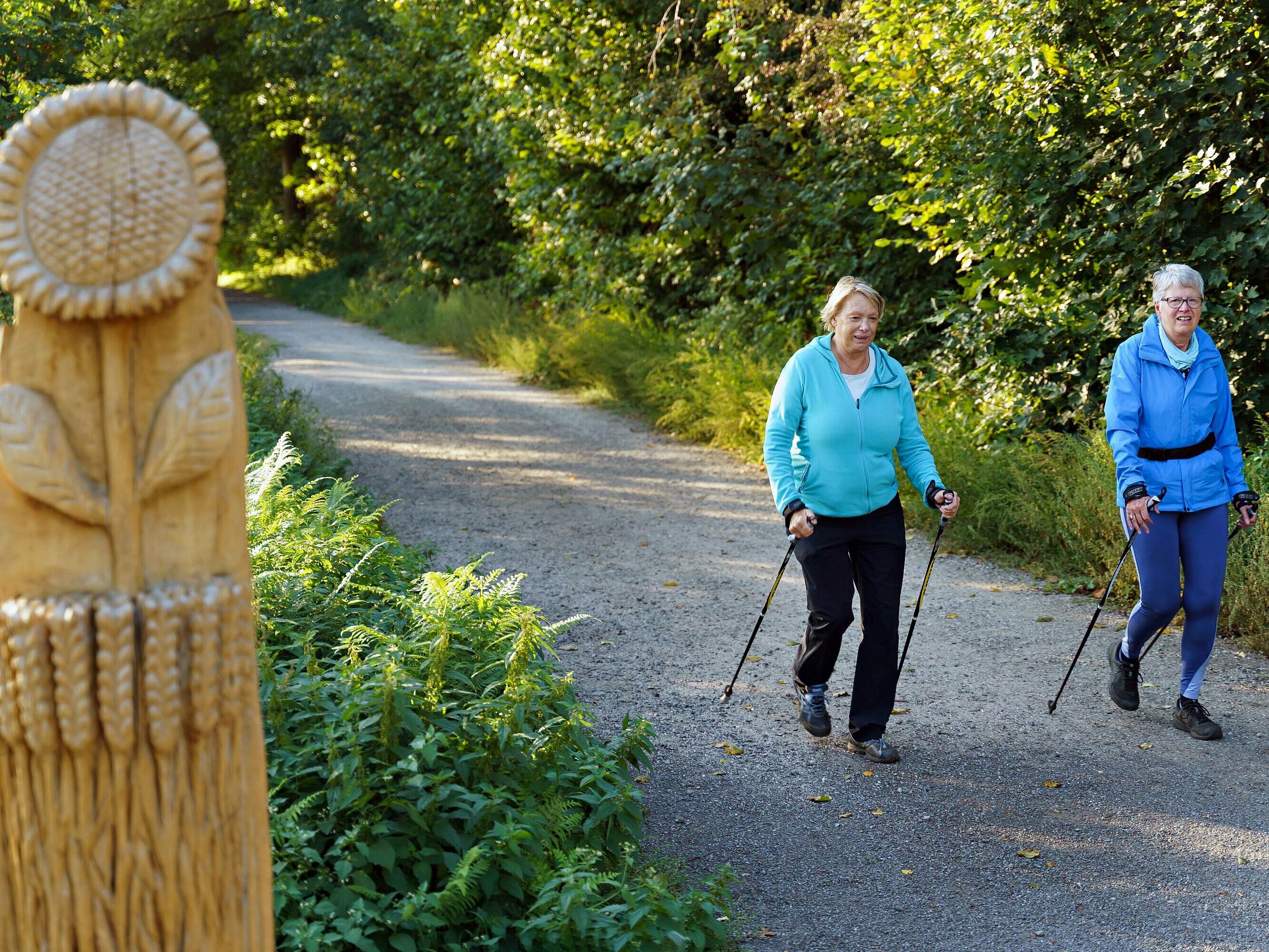 Nordic Walking Waldpromenade